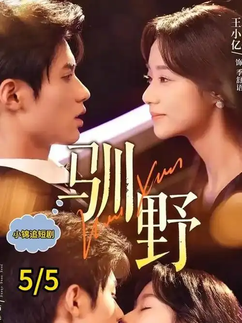 孤独的美食家 第十季